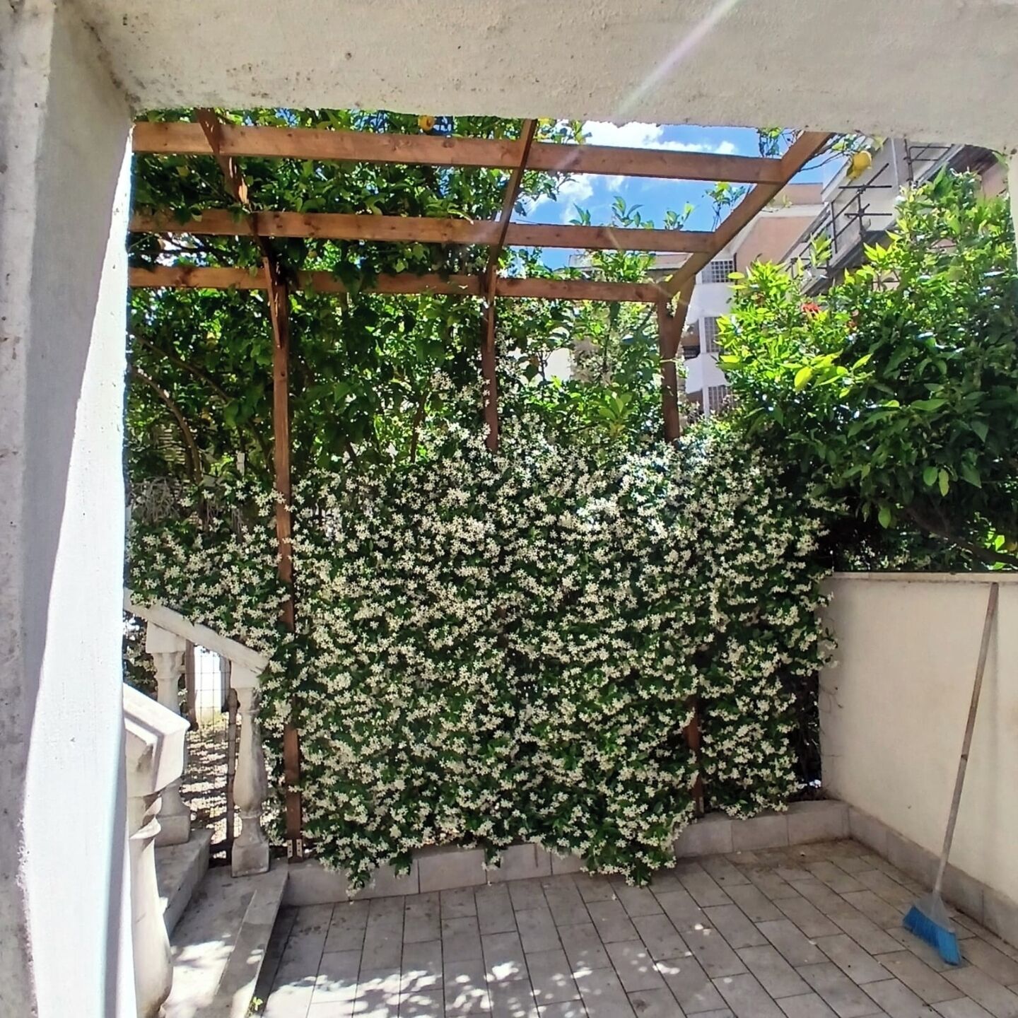 Área da propriedade
