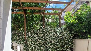 Un espace extérieur abrité, doté d’une pergola en bois, d’un sol carrelé et d’un feuillage luxuriant.