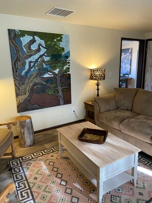 Smart TV, fireplace, books