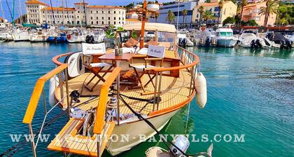 Grand Standing rental in Banyuls sur Mer