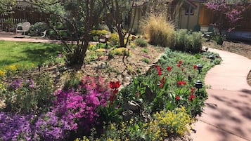 Overnatningsstedets område