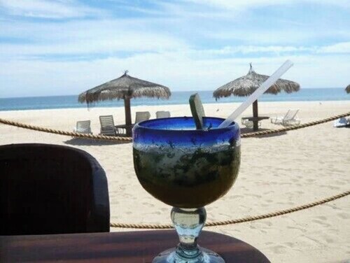 Seahouse On The Beach