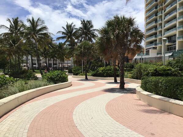 A paved pathway with palm trees and a building in the background.