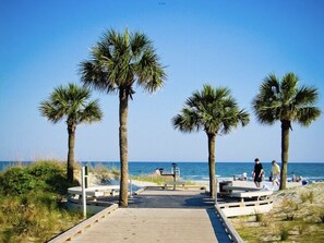A beach walkway with palm trees, benches, and a view of the ocean.