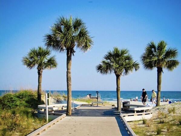 Stroll along the beachside walkway lined with palm trees and benches, leading to a sandy beach area.