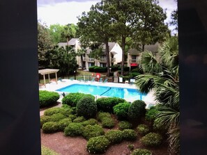 Relax by the serene pool surrounded by lush greenery and mature trees.