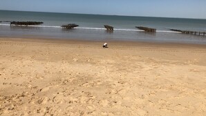 Una playa con un muelle de madera que se adentra en el agua, arena y un perro a lo lejos.