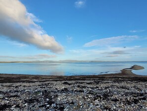 Uklassifisert bilde, 3 av 24, knapp