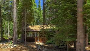 A cabin surrounded by tall evergreen trees, with a wooden deck and a stone wall in the background. - Coziness Cabin - Cute Little Cabin in the Tahoe Woods! (South Lake Tahoe)
