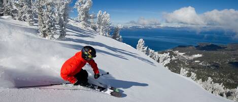 Deportes de invierno y ski