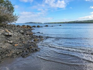 Fishing - 3 bedroom accommodation in St Dogmaels, near Cardigan (St Dogmaels, near Cardigan)
