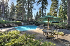 Pool - Waters Edge Oasis Shared Pool & Pier Access (Tahoma)