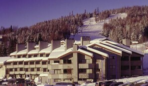 Exterior - Spacious, Split Level Condo (Whitefish)