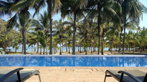 A pool area with a clear view of the sea, surrounded by palm trees.