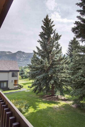Condo, varias camas, patio, vista a la montaña (Snowcreek #059) | Vista a la montaña