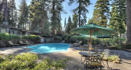 Waters Edge Jewel w/ Lake Views HOA Access!