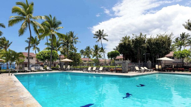 A clear blue swimming pool with lounge chairs and palm trees. - Surf & Racquet Club #24 New Beds, New You! (Kailua-Kona)