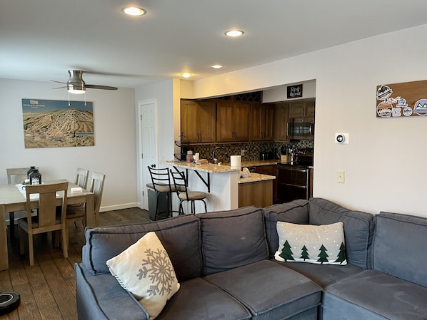 Smart TV, fireplace, video games, books