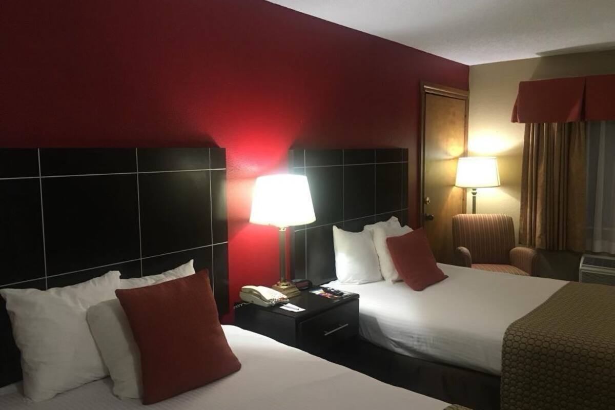 Quarto casal ou duplo standard | 1 quarto, roupas de cama premium, edredons de pluma