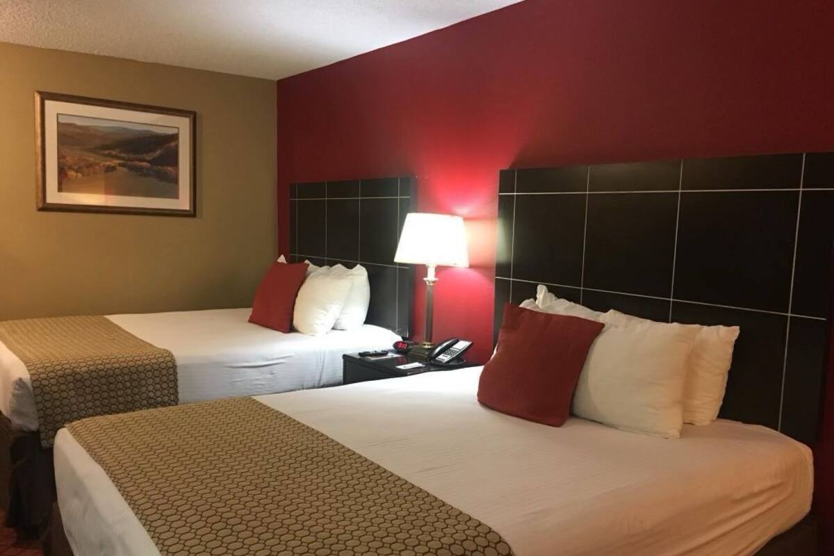 Quarto casal luxo | 1 quarto, roupas de cama premium, edredons de pluma