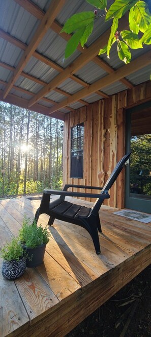 テラス / パティオ