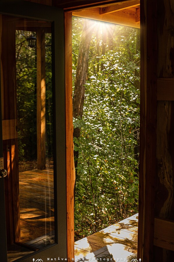 施設からの眺望