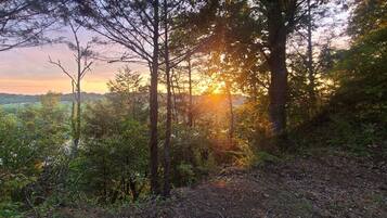 Área da propriedade