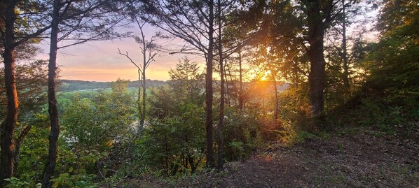 Overnatningsstedets område