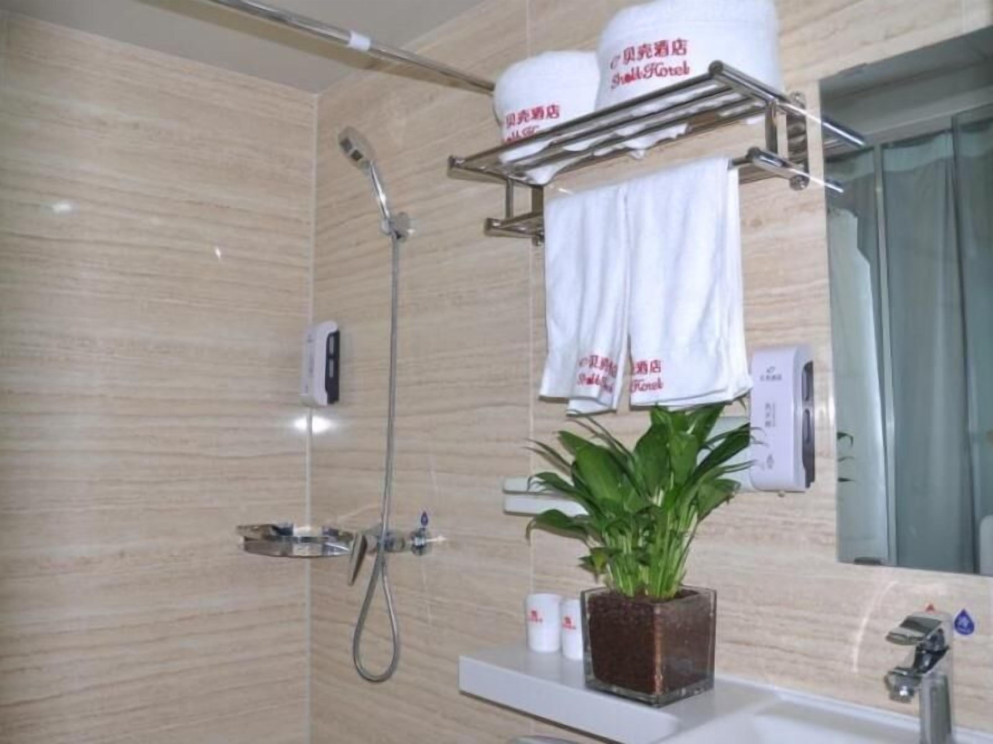 A bathroom with a shower, a sink, a mirror, and a potted plant.