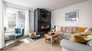 TV, fireplace, offices