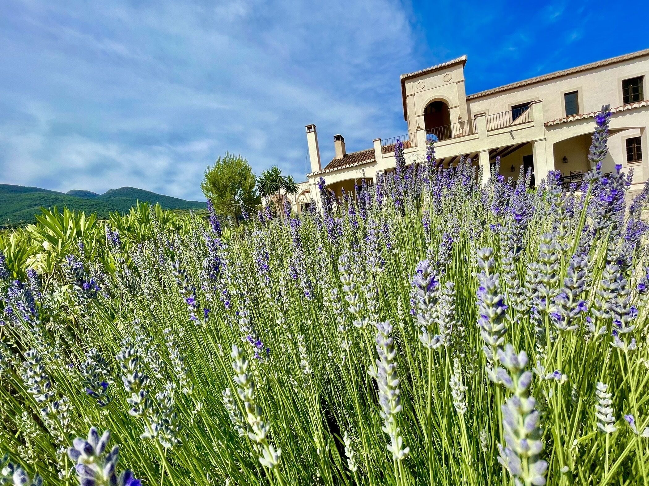 Detall de l'exterior