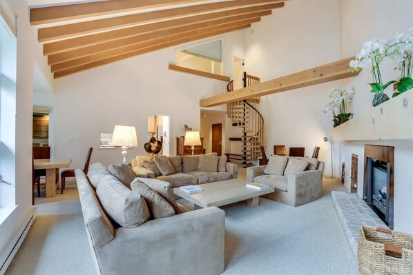 TV, fireplace
