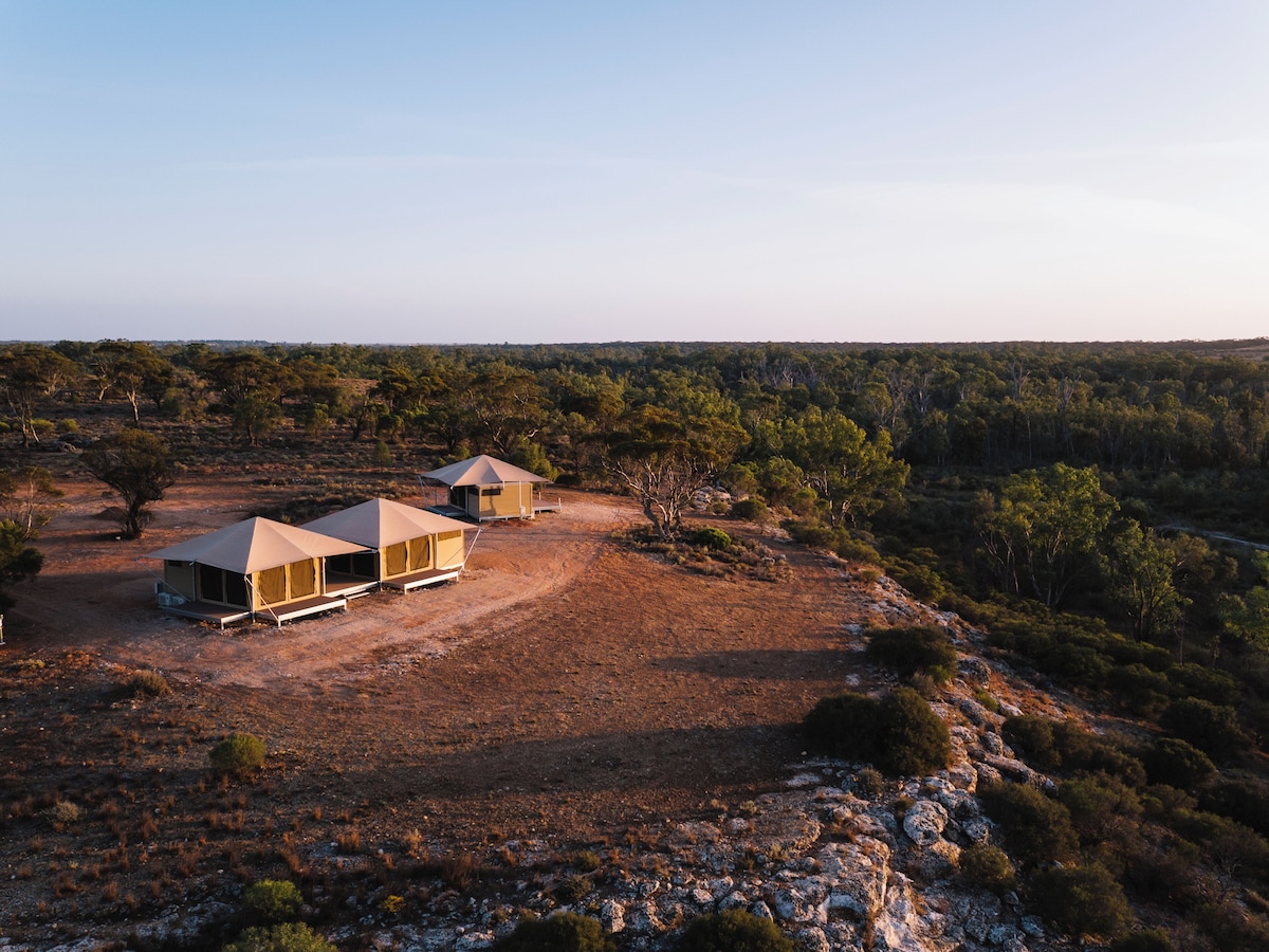 Imagen de perfil del propietario o de la propietaria