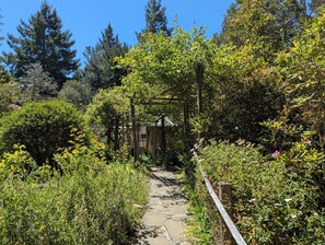 Property grounds - Juliette's Place; Forest Retreat , close to ocean, beaches and Mendocino, (Albion)
