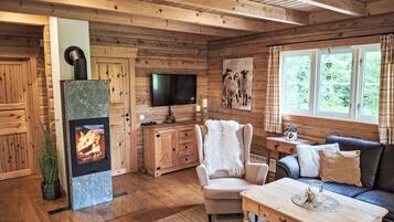 Fernseher, Kamin, DVD-Player