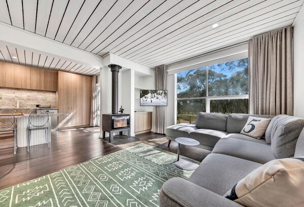 Smart TV, fireplace