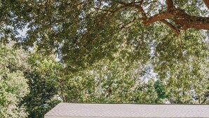 A single-story house with a porch, a golf cart, and a large tree in the background. - 3BR/2BA w/GOLF CART!! Close to Beach & Downtown Ocean Springs! Southern Exposure (Ocean Springs)