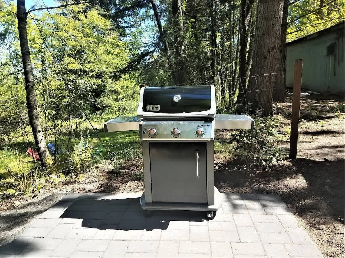 Un barbecue Spirit portatif, doté de deux brûleurs latéraux et d’un couvercle supérieur, installé sur une surface pavée, au milieu d’arbres.