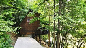 A wooden cabin with an American flag, surrounded by dense forest and a concrete pathway leading to it. - Secluded Smokies Cabin | Private Pond + Hot Tub + King Bed (Sevierville)