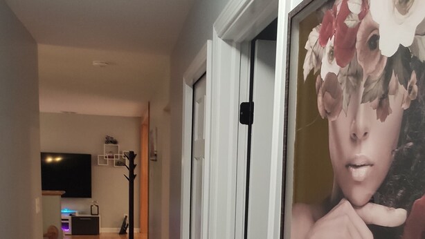A hallway with wooden flooring, a framed artwork on the wall, and a door leading to another room.