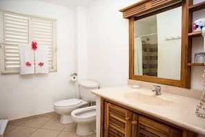 Bathtub, hair dryer, bidet, towels