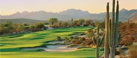 A golf course with cacti and mountains in the background.