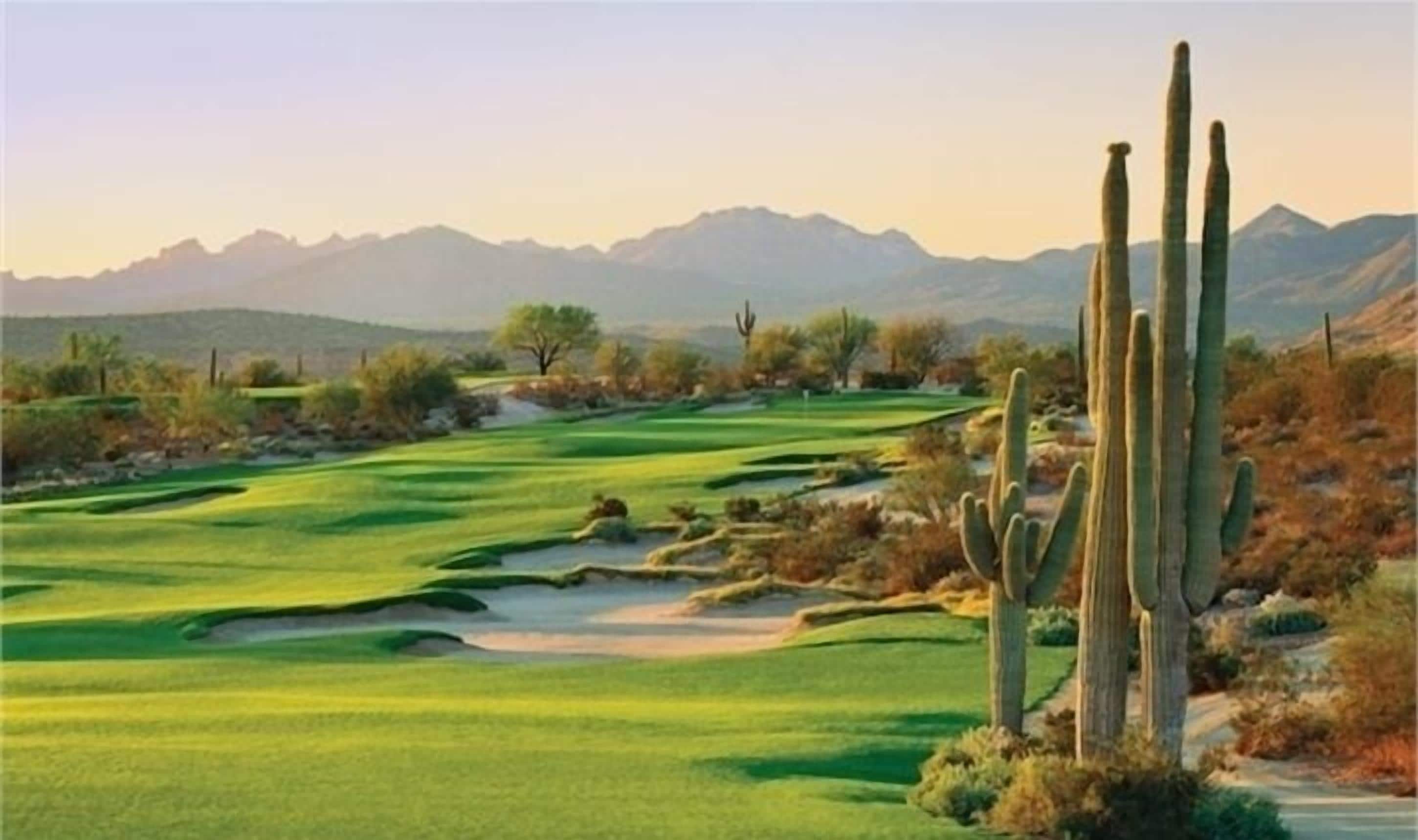 A golf course with cacti and mountains in the background.