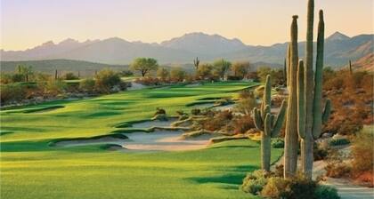 12 Bedroom / 8 Bath in McDowell Mountain Ranch