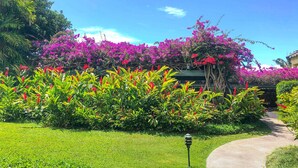 A garden with lush green grass, vibrant pink flowers, and a pathway leading to a building. - Poipu Paradise Beach Condo (Koloa)