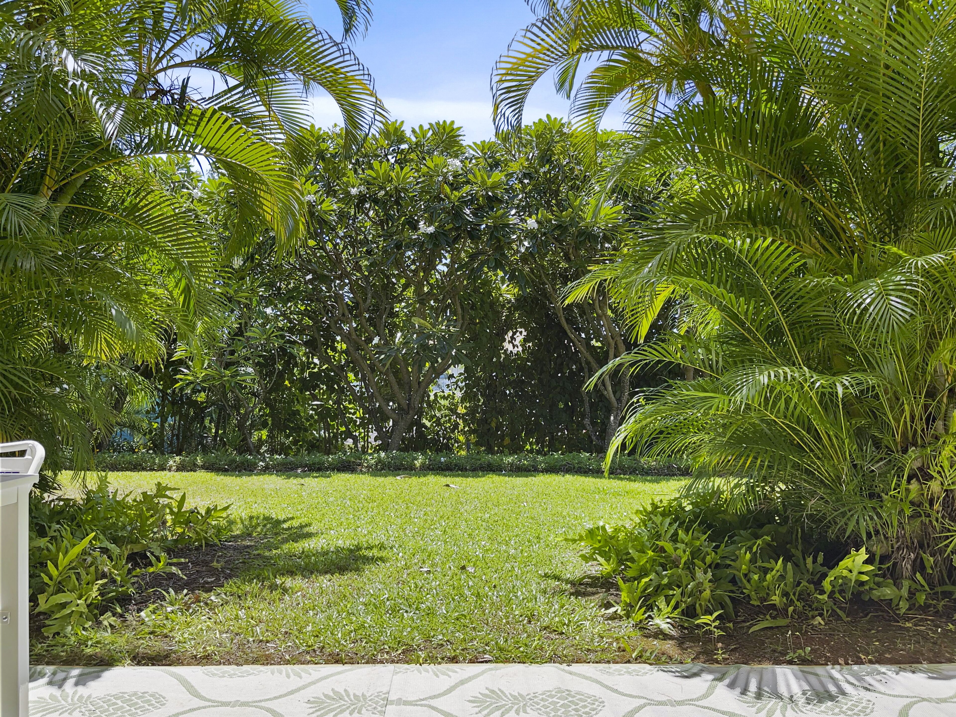 A lush garden with a variety of tropical plants and a neatly manicured lawn.