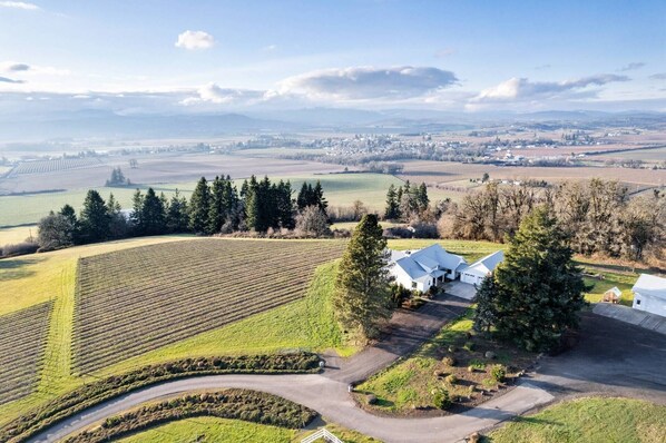 Imagen sin descripción, 1 de 39, botón