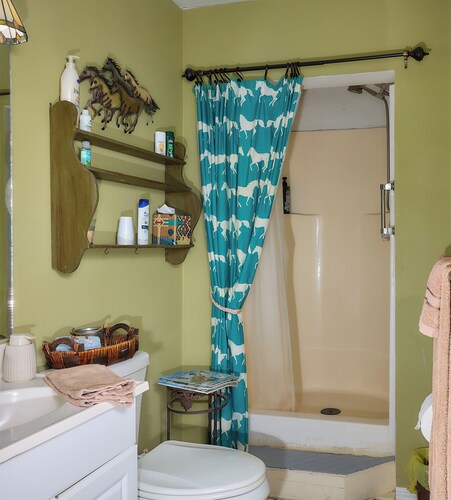 Pleasant Days Lodging Southwest Cottage