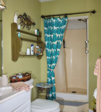 Pleasant Days Lodging Southwest Cottage