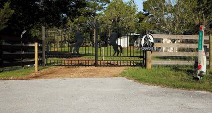Pleasant Days Lodging Southwest Cottage
